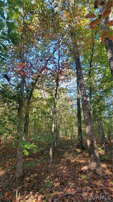 10.98 Acres Genito Rd, Amelia Ct Hse, VA 23002 - photo 2