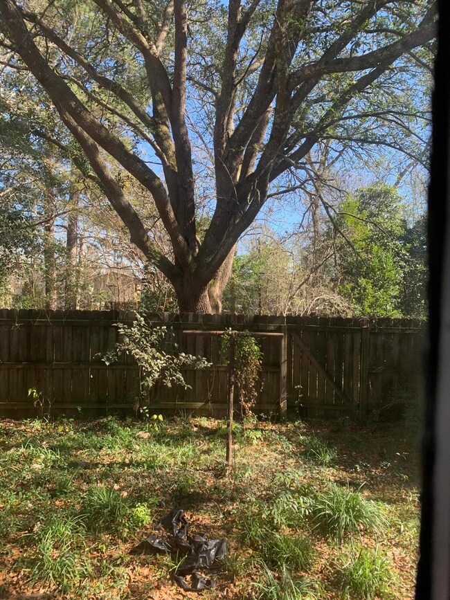 3rd Back yard