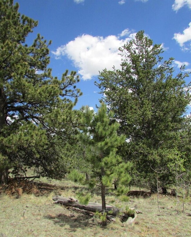 19 Deer Ct, Jefferson, CO 80456 - photo 2