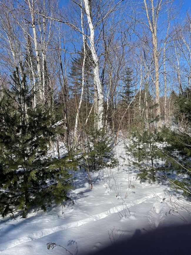 11 Hydro Rd unit 11, Bethlehem, NH 03574 - photo 4