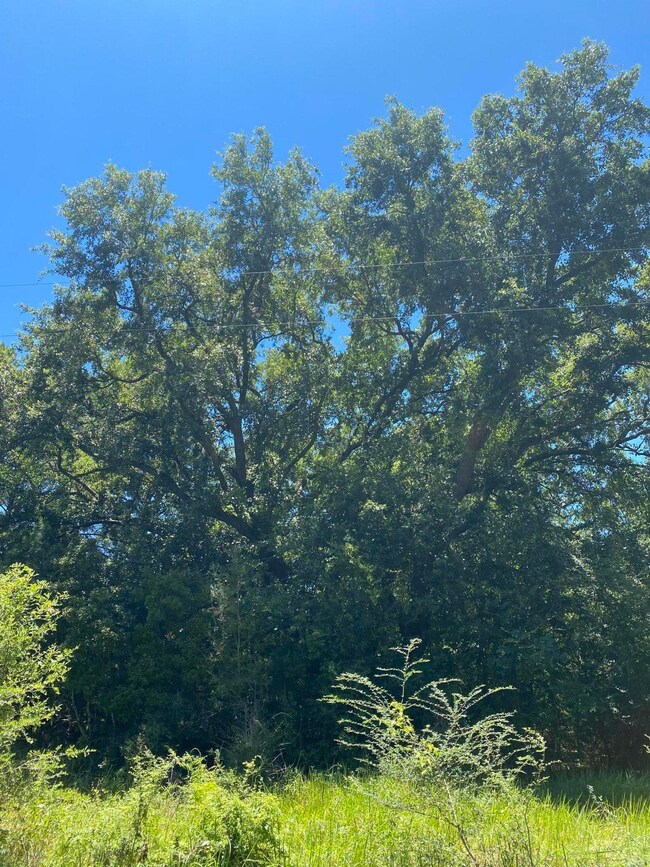 00 Spooner Rd, Lucedale, MS 39452 - photo 5