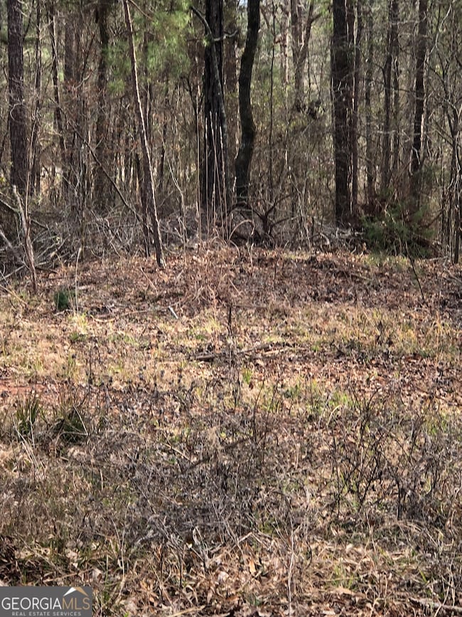 438 Lake Laurel Rd, Milledgeville, GA 31061 - photo 5