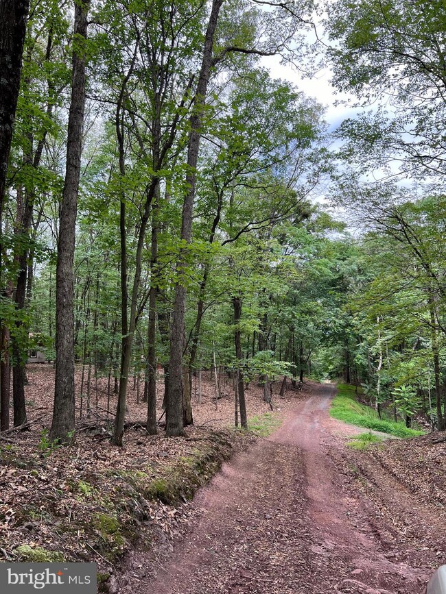 0 Gaither Rd unit WVMO2004810, Great Cacapon, WV 25422 - photo 4
