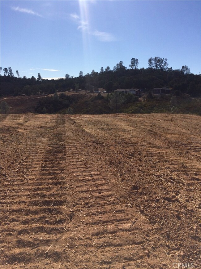 Flat area at top of knoll.