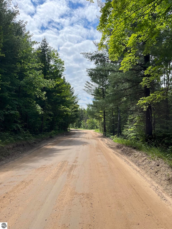 TBD Hoosier Flats Rd unit B, Traverse City, MI 49685 - photo 7