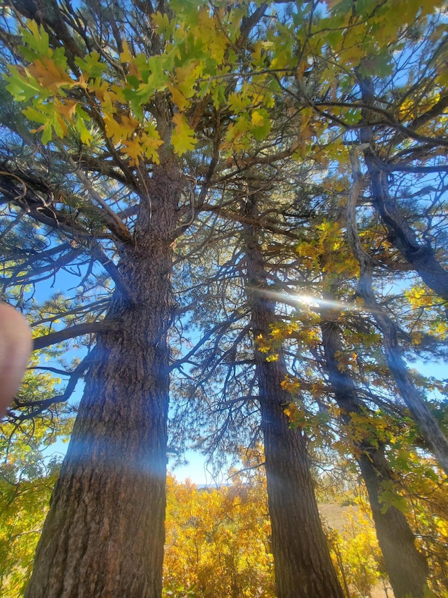 248 N Spring Dr, Kolob, UT 84767 - photo 3