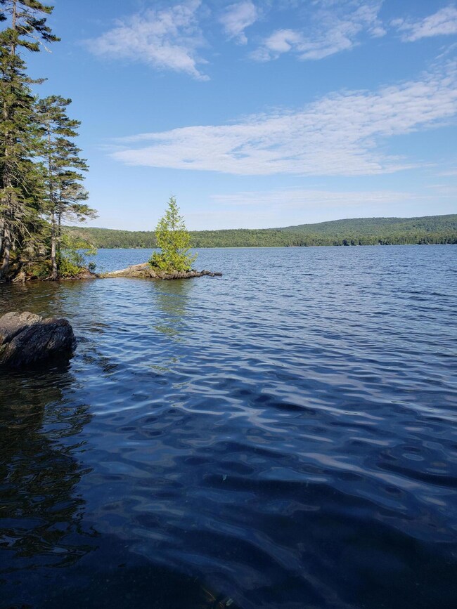 View Pond