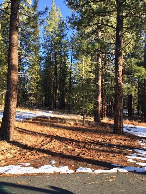 56197 Sable Rock Loop, Bend, OR 97707 - photo 6