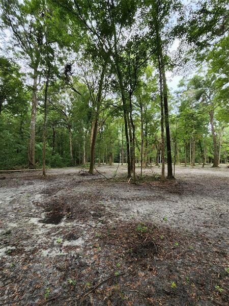 Lot 50 SW Boston Terrace, Fort White, FL 32038 - photo 4