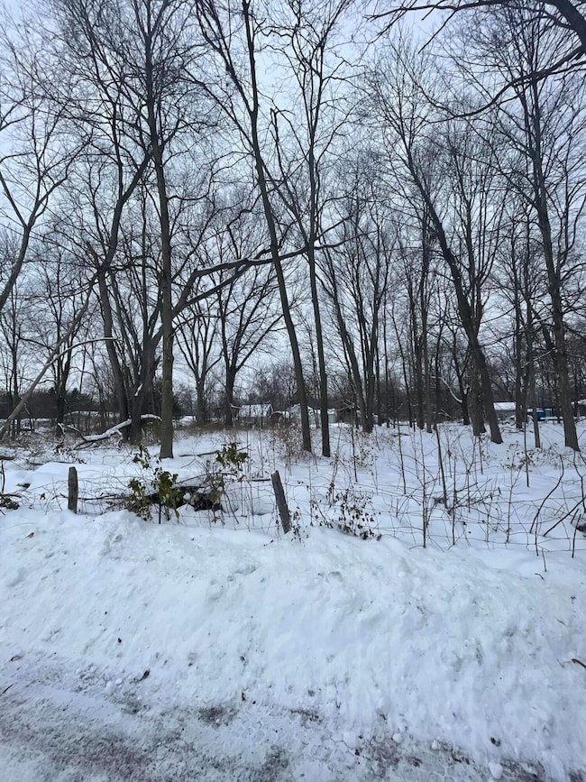 0 V L 13th and Cypress Ct, Three Rivers, MI 49093 - photo 4