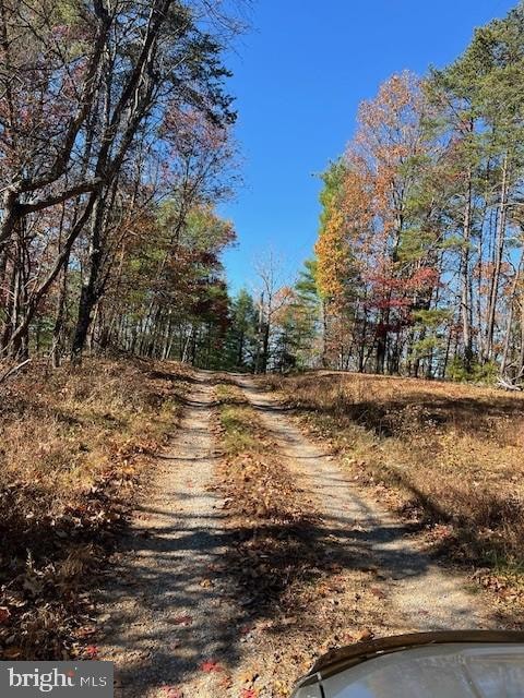0 Runaway Ct unit WVMO2006972, Berkeley Springs, WV 25411 - photo 4