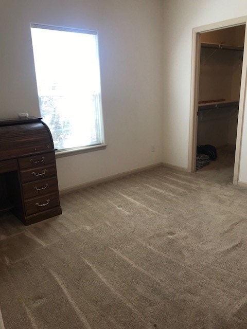 686 Polk Ct, Grand Junction, CO 81505 - photo 5