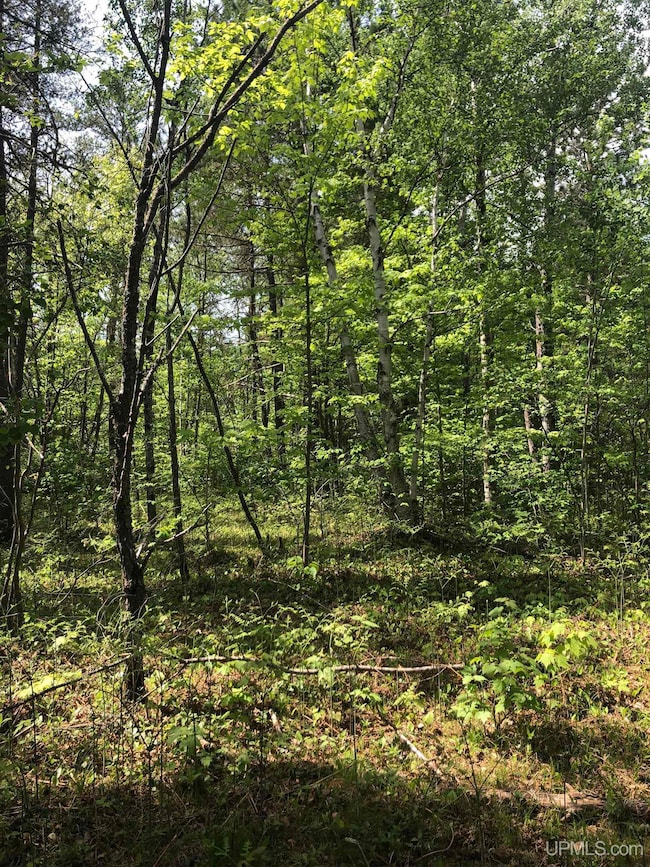 192 Johnson Lake Rd, Gwinn, MI 49841 - photo 5