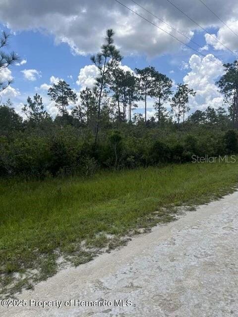 00 Ramsey Rd, Weeki Wachee, FL 34614 - photo 3
