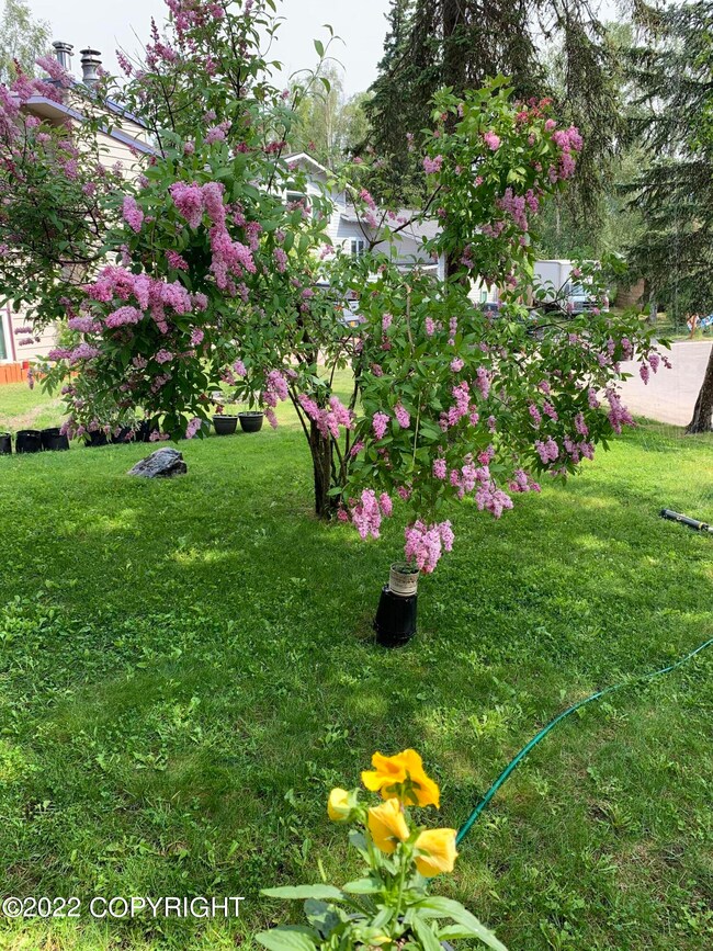 2510 Kilkenny Cir, Anchorage, AK 99504 - photo 3