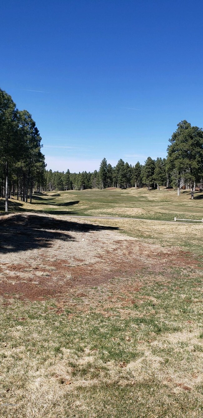 1300 S Jimson Loop