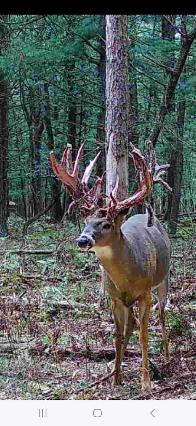 9283 9283 unit N Willow Ave., Bitely, MI 49309 - photo 2