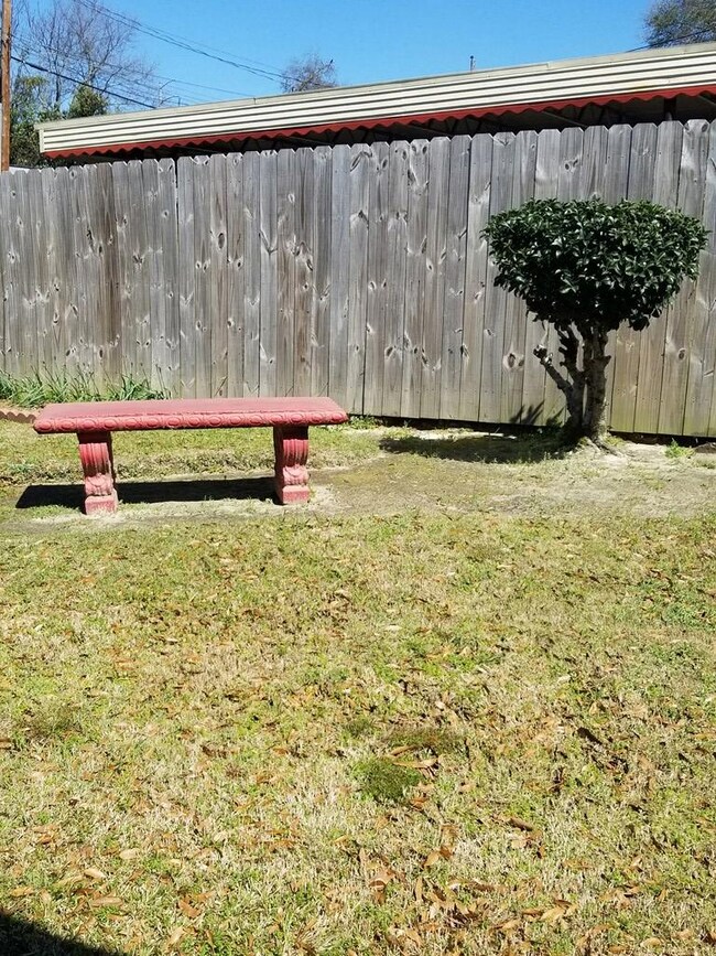 Back Side yard