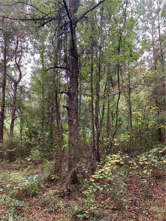 29272 Old Columbia Rd, Franklinton, LA 70438 - photo 6