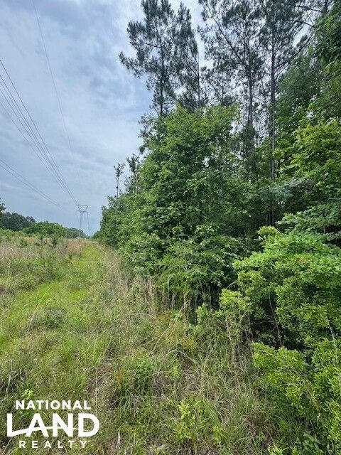 0 Sailor Rd, Creola, AL 36525 - photo 7