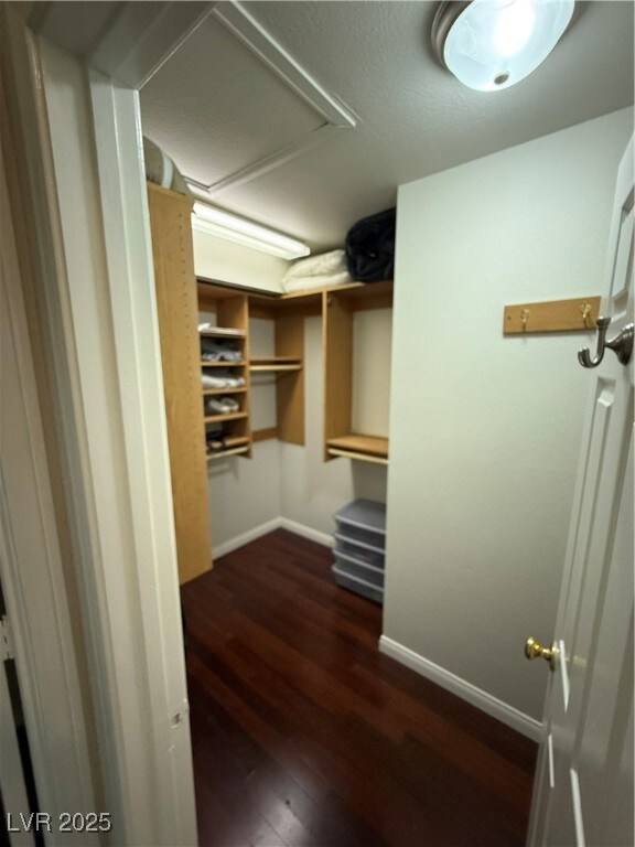 Spacious closet featuring dark wood finished floor