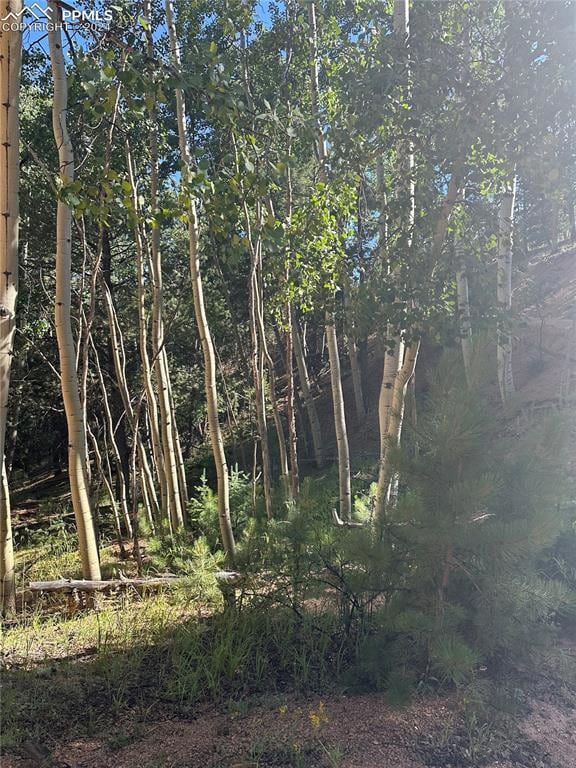 L8 Horseshoe Dr, Divide, CO 80814 - photo 5