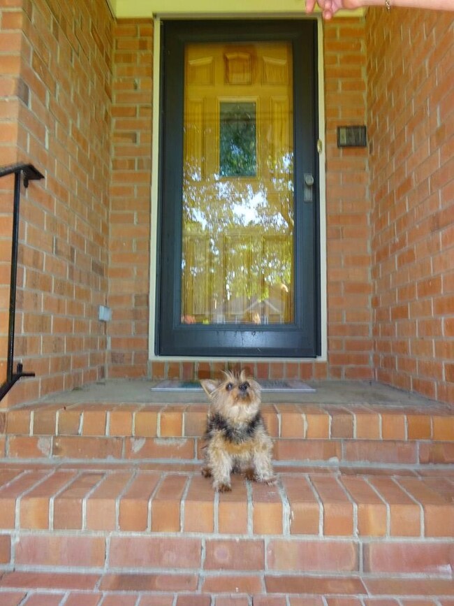 Katie Welcomes YOU to her home