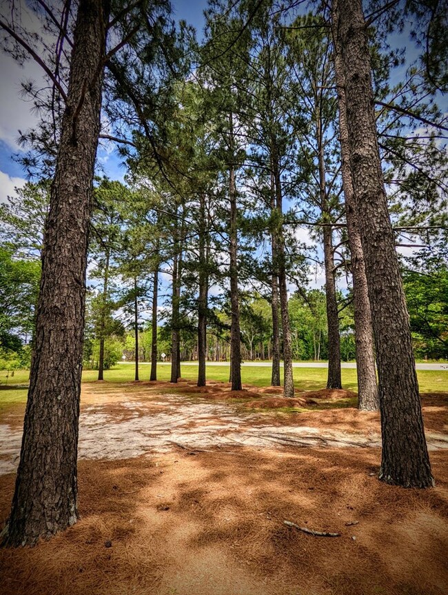 Northeastward view from driveway