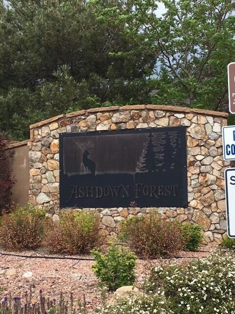 DPWEnterprisesAshdownForestLotPic3