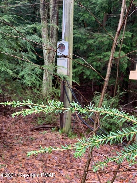 0 Fiddletown Rd unit PM-86825, Eldred Township, PA 18058 - photo 5