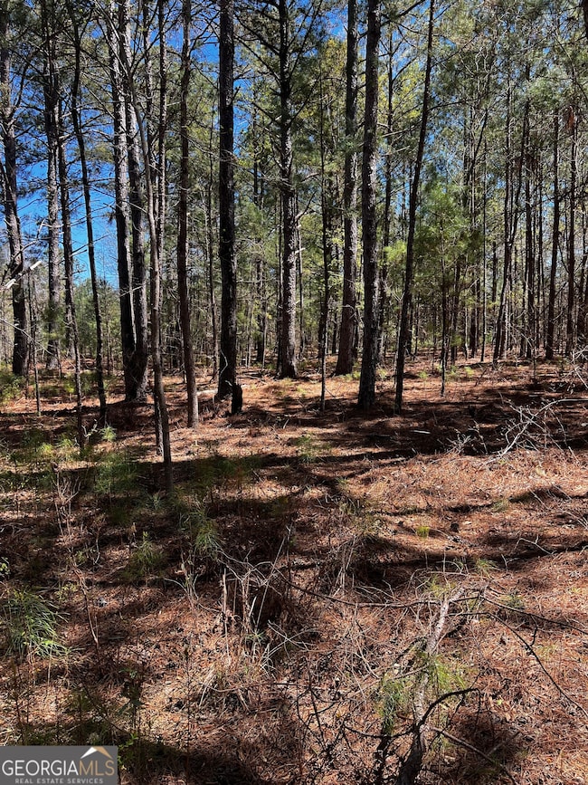 2000 Buckeye Rd, Tennille, GA 31089 - photo 3