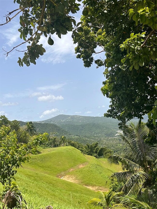 788 Tomas de Castro, Caguas, PR 00726 - photo 3