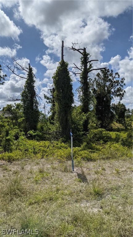 1147 Columbus Blvd S, Lehigh Acres, FL 33974 - photo 2