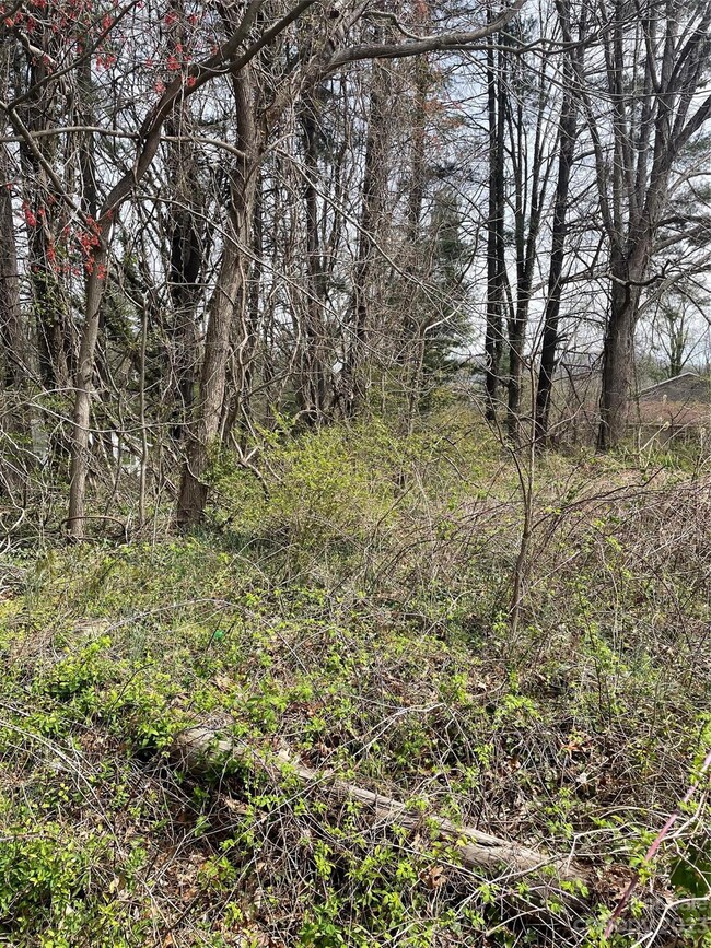 99999 W Chapel Rd, Asheville, NC 28803 - photo 5