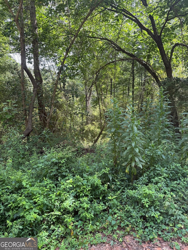 2924 Raintree Dr SE, Conyers, GA 30094 - photo 3