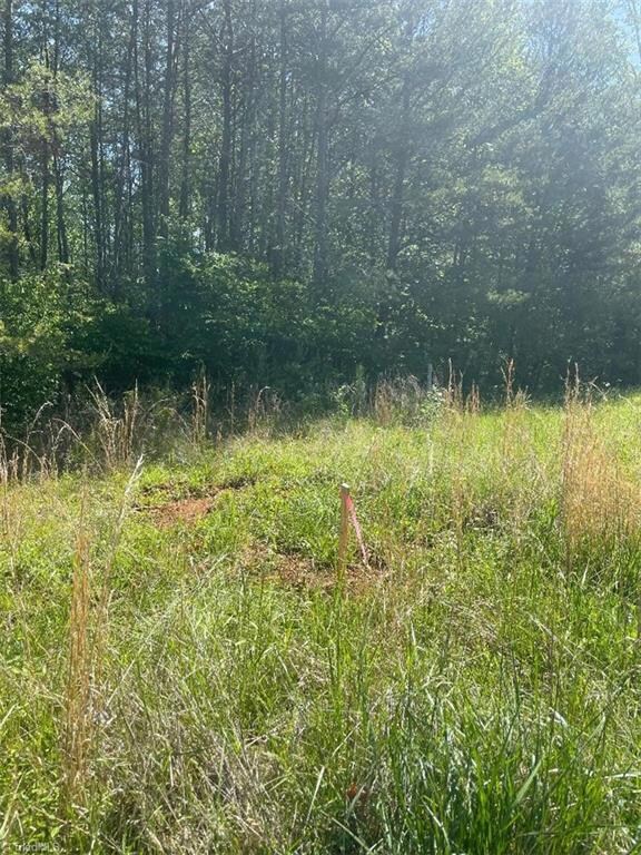 Where septic system was located.