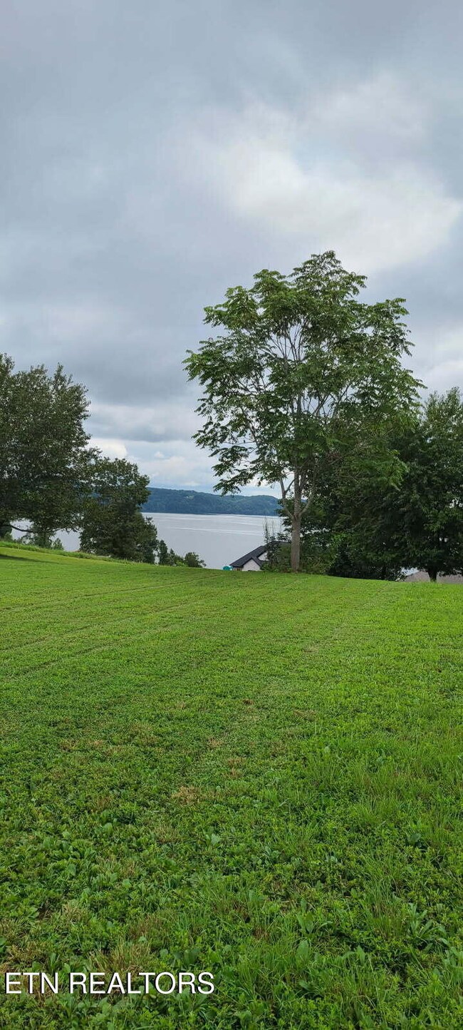 Lot #95 View