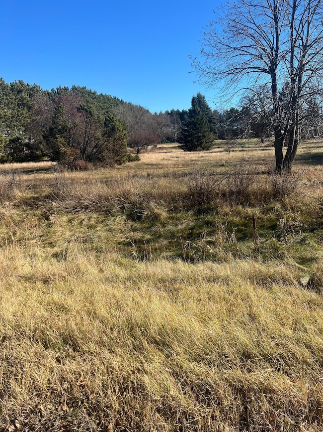 36123 Elmcrest Ave NE, North Branch, MN 55056 - photo 4