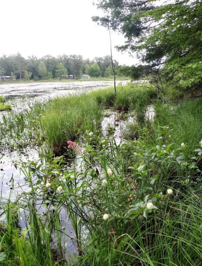 V/L N Beaver Trail, Lilley Township, MI 49309 - photo 5