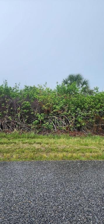 8183 Clyde Cir, South Gulf Cove, FL 33981 - photo 4