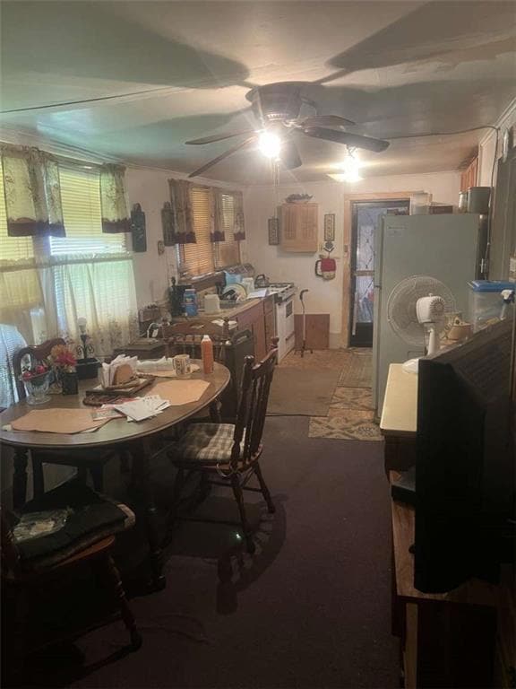 800 E Merry Ave, Hammond, LA 70403 - photo 3