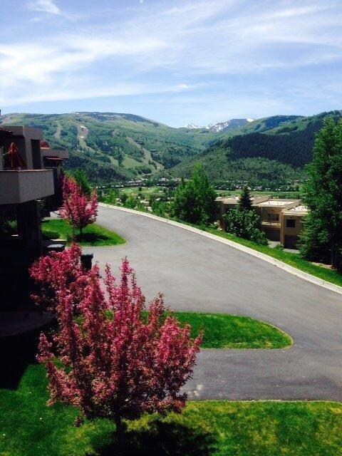 Las Vistas driveway