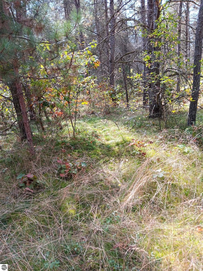 1433 S Peacock Trail, Baldwin, MI 49304 - photo 3