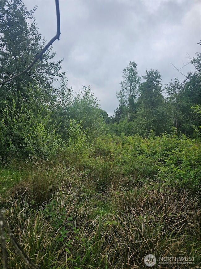 565 Oyler Rd, Ethel, WA 98542 - photo 2