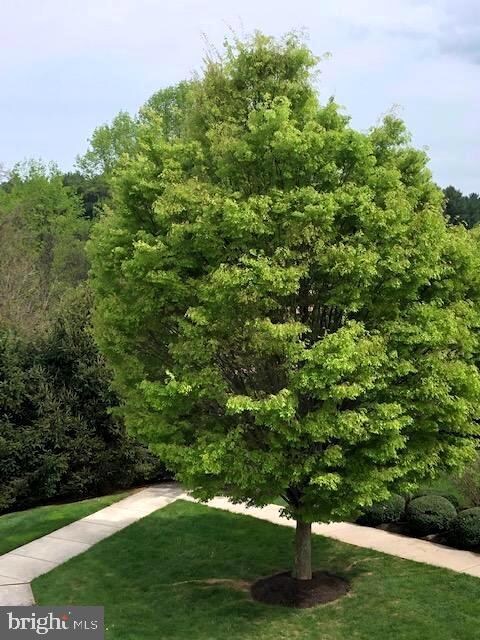 6516 Ridenour Way E unit 3A, Sykesville, MD 21784 - photo 5