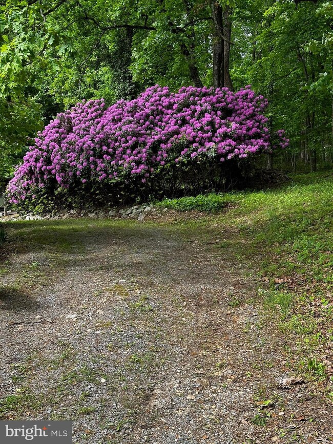 227 Skyview Ln, Winchester, VA 22603 - photo 3