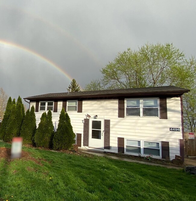 Rainbow