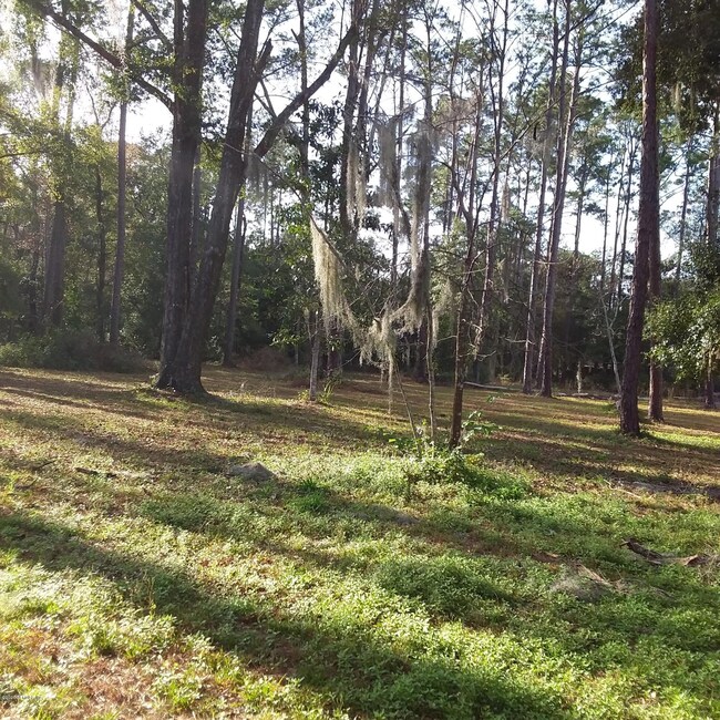 Build in FLeming Island