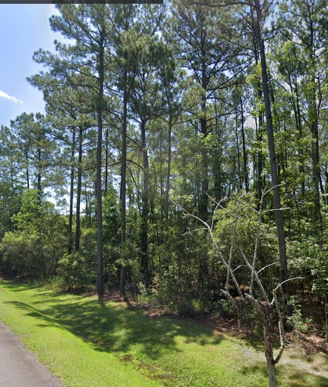 0 Sportsman Island Dr unit 25025614, Wando, SC 29492 - photo 3