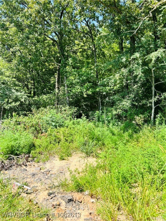 TBD Tbd, Spiro, OK 74959 - photo 5